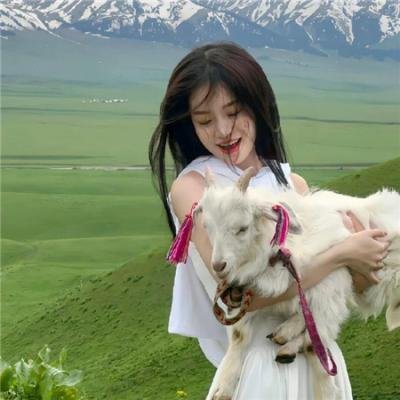如果历史是一群喵第七季