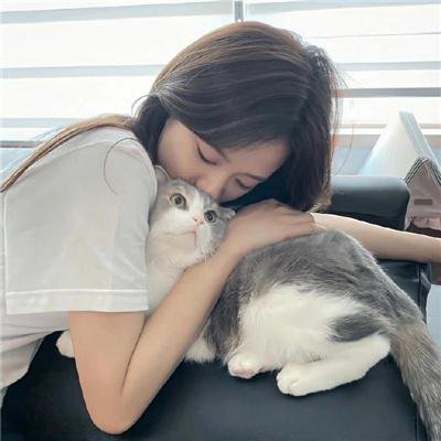 大白鲨